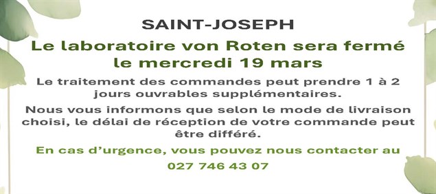 Saint Joseph 2025 Pdf Page 1