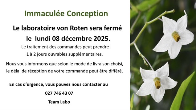 Immaculée conception2025.JPG